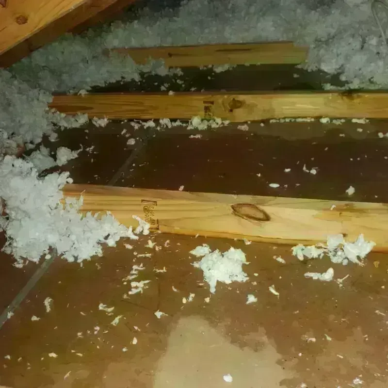 Attic Water Damage in Angels Camp, CA