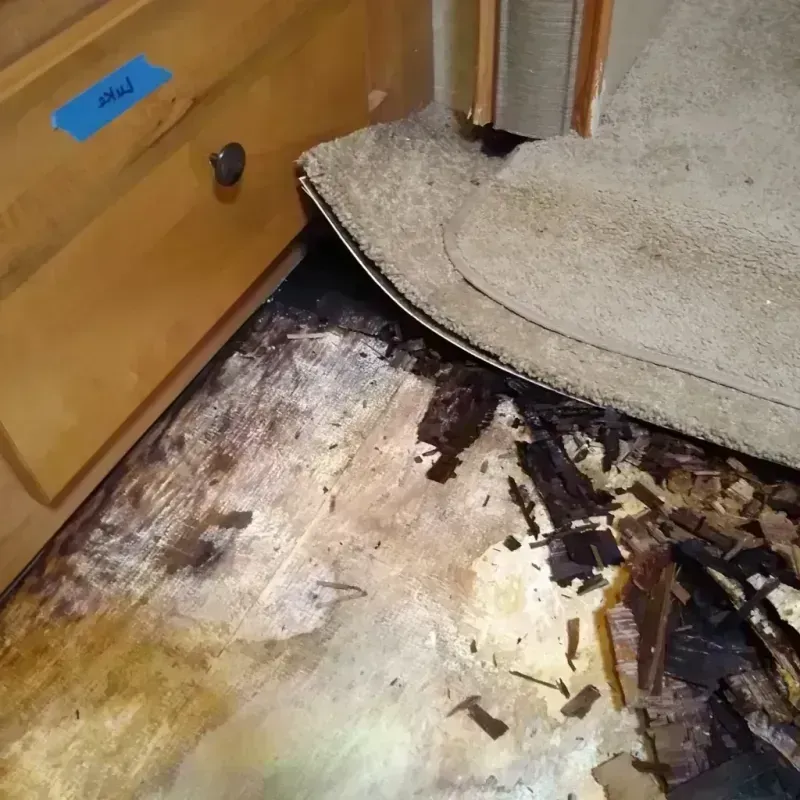 Best Wood Floor Water Damage Service in Angels Camp, CA